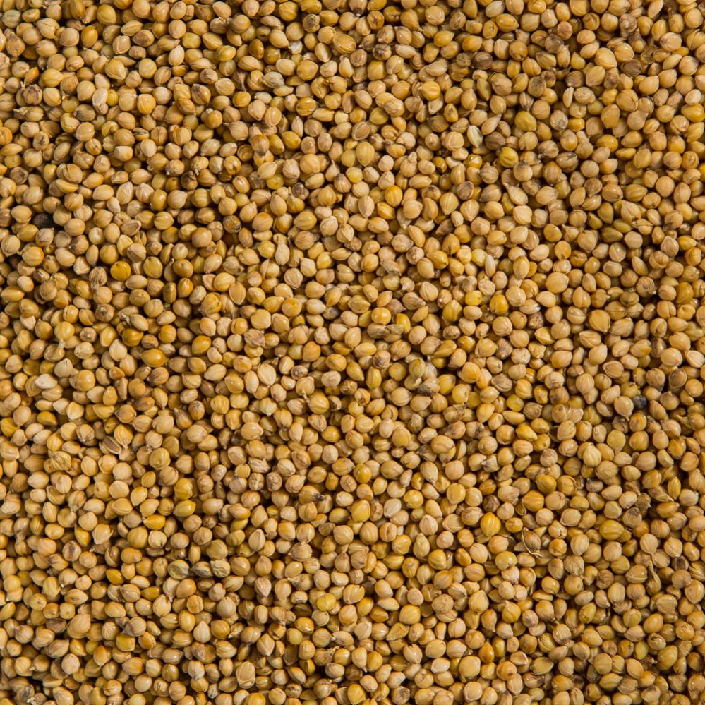 Small Golden Millet